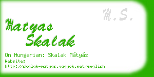 matyas skalak business card